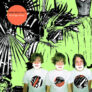 WHIRLWIND HEAT – Flamingo Honey