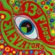 THE 13th FLOOR ELEVATORS – The Psychedelic Sound of…