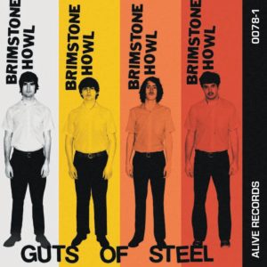 guts steel