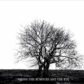 Mr DAVID VINER – Among The Rumours And The Rye