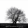 Mr DAVID VINER – Among The Rumours And The Rye