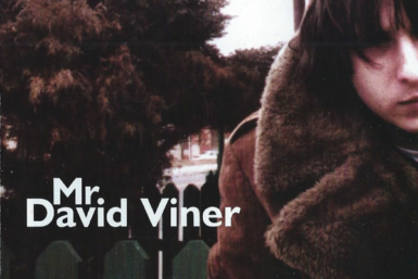 Mr David Viner