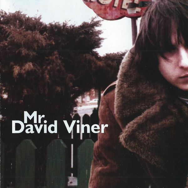 Mr David Viner