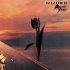 THE PRETTY THINGS – Parachute