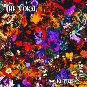 THE CORAL – Butterfly House