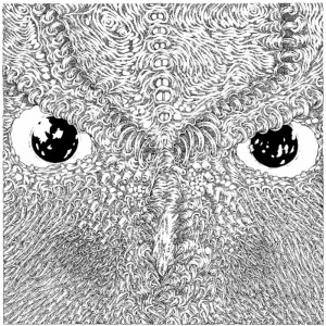 CONSPIRACY OF OWLS – Conspiracy Of Owls