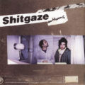 psychedelic-horseshit-shitgaze