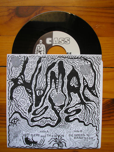 HUMAN EYE - Spiders & Their Kin