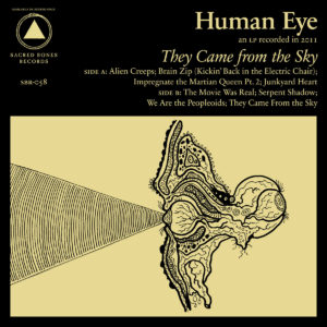 human eye