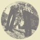TY SEGALL & WHITE FENCE – Hair