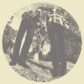 TY SEGALL & WHITE FENCE – Hair