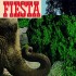 THE GO – Fiesta