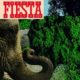 THE GO – Fiesta