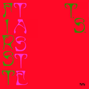 TY SEGALL – First Taste